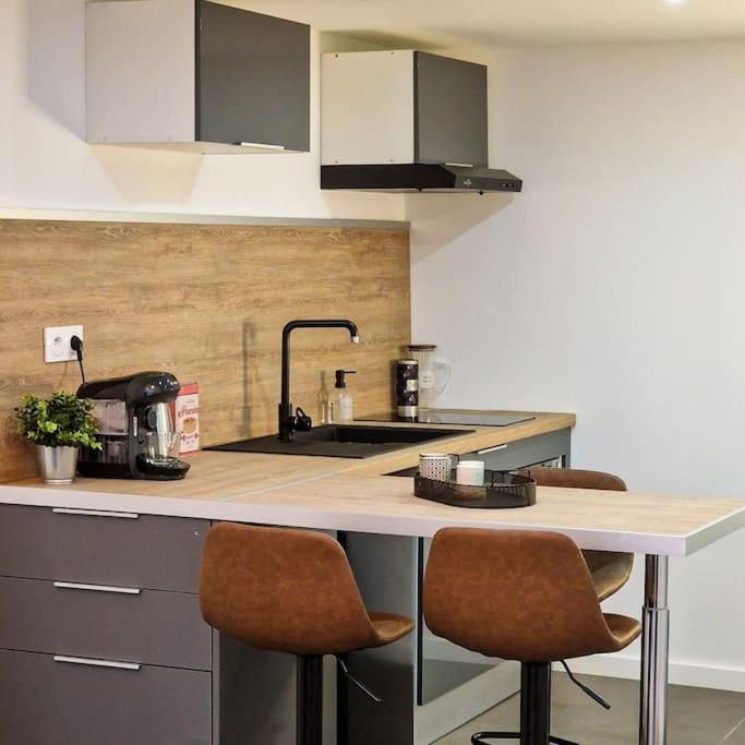 Appartement Grand Loft Avec Terrasse Privee à Saint-Etienne  Extérieur photo